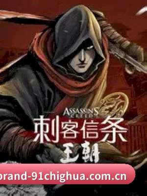 我们在扒什么 - 长期内容价值积累